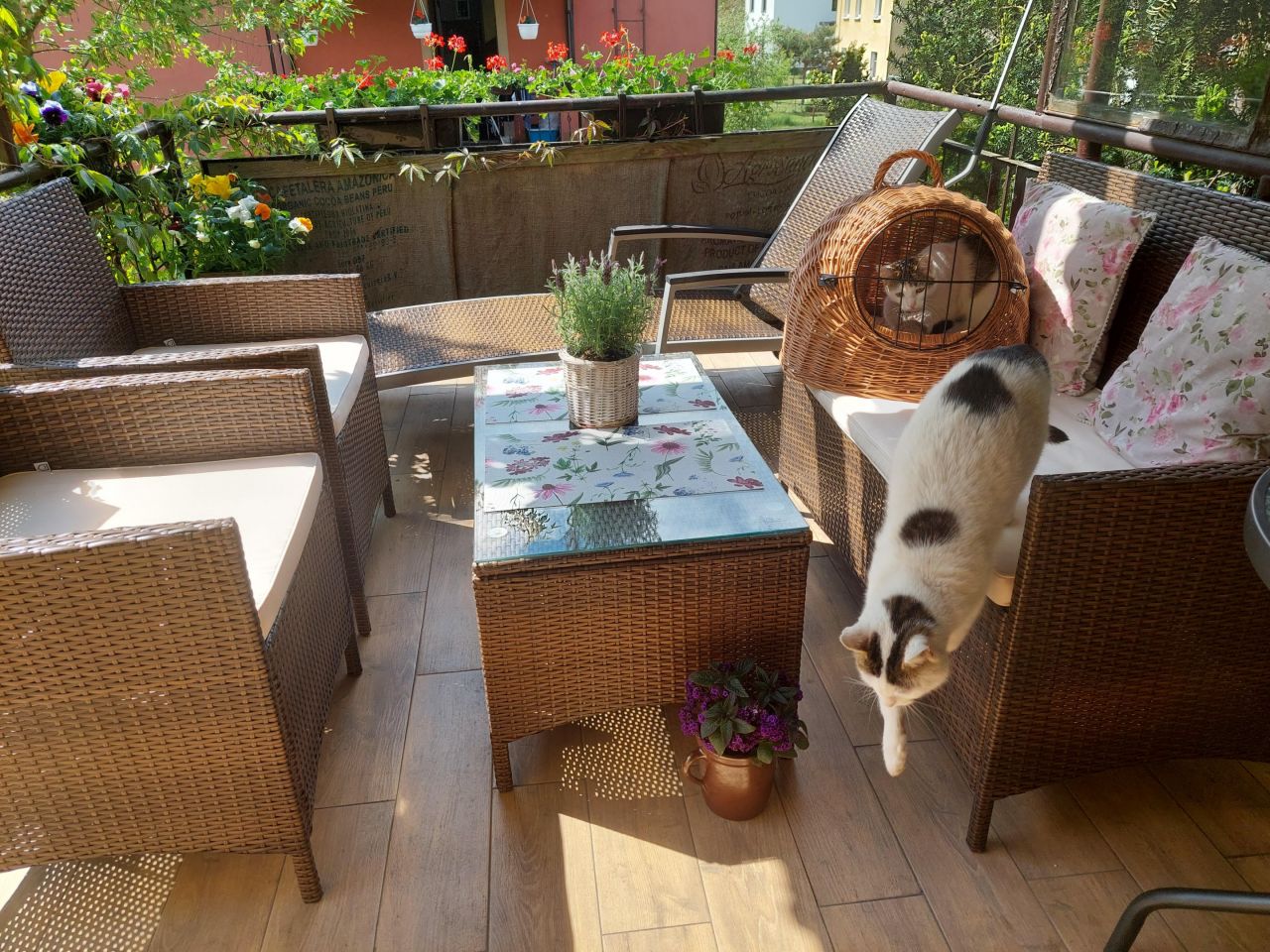 Mieszkanie 3-pokojowe Toruń Podgórz, ul. Inowrocławska. Zdjęcie 19