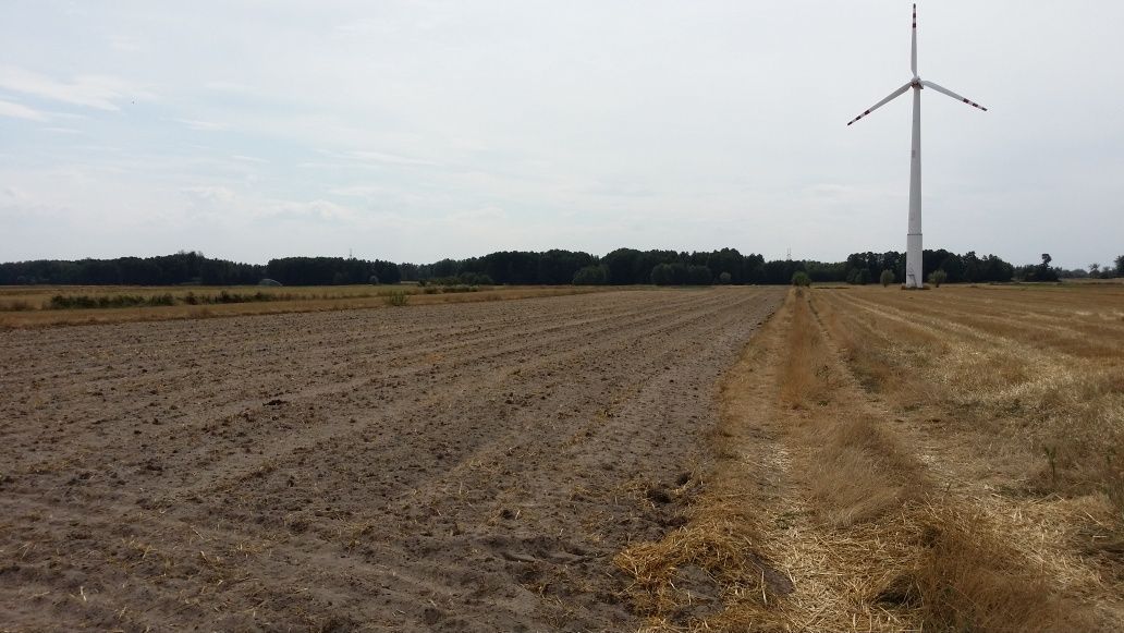 Działka rolno-budowlana Stare Budy. Zdjęcie 4