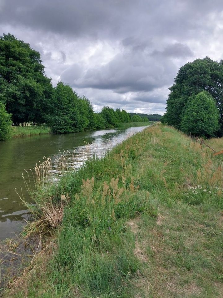 Działka rekreacyjna Borsk. Zdjęcie 3