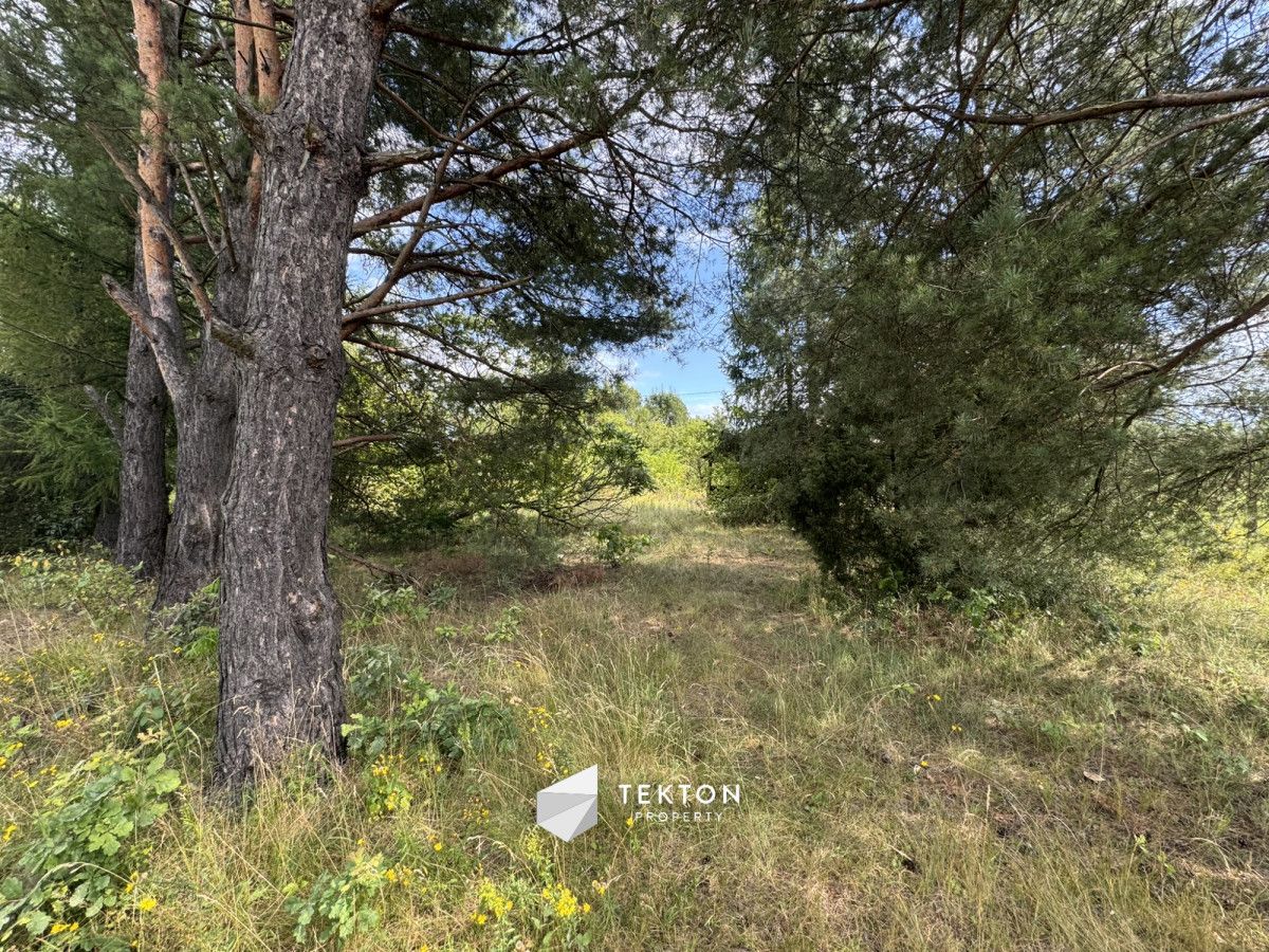 Działka rolna Łochów, ul. Świerkowa. Zdjęcie 5