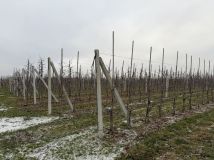 Działka rolna Grzymkowice. Zdjęcie 3