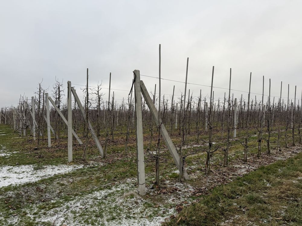 Działka rolna Grzymkowice. Zdjęcie 4