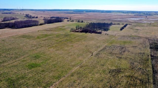 Działka rolna Siedliska. Zdjęcie 6