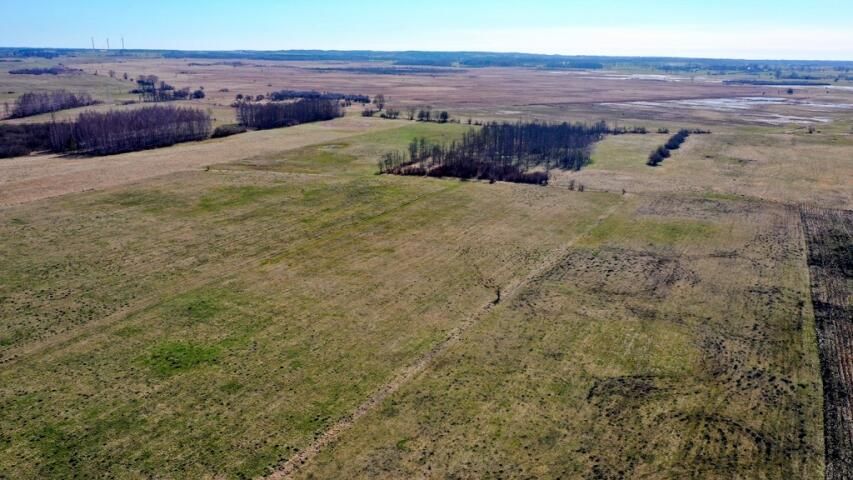 Działka rolna Siedliska. Zdjęcie 6