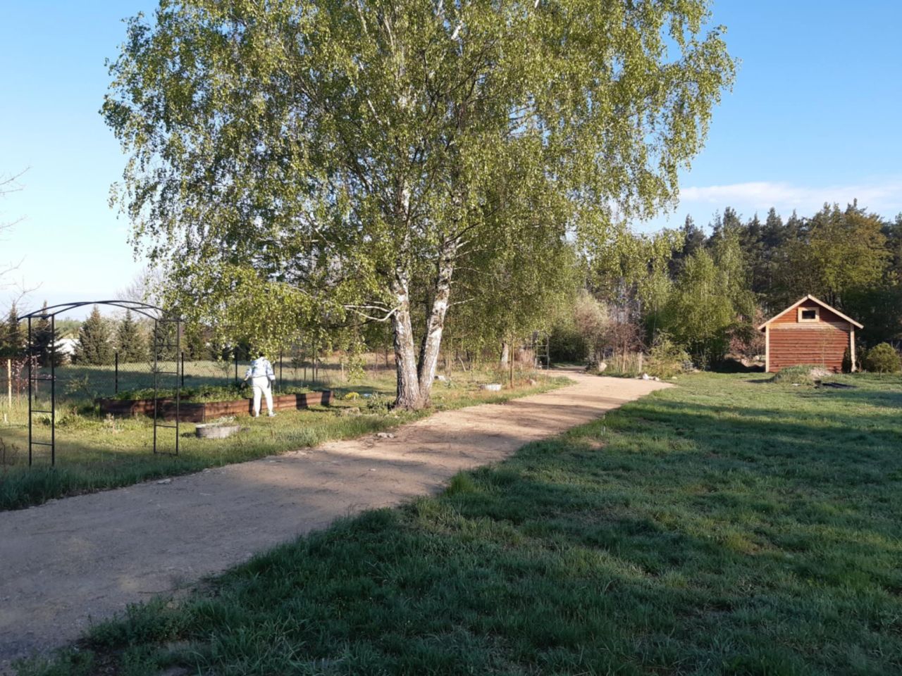 Działka budowlana Podbiel Krupińskie, Sosnowa. Zdjęcie 13