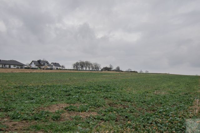 Działka budowlana Morawsko. Zdjęcie 8