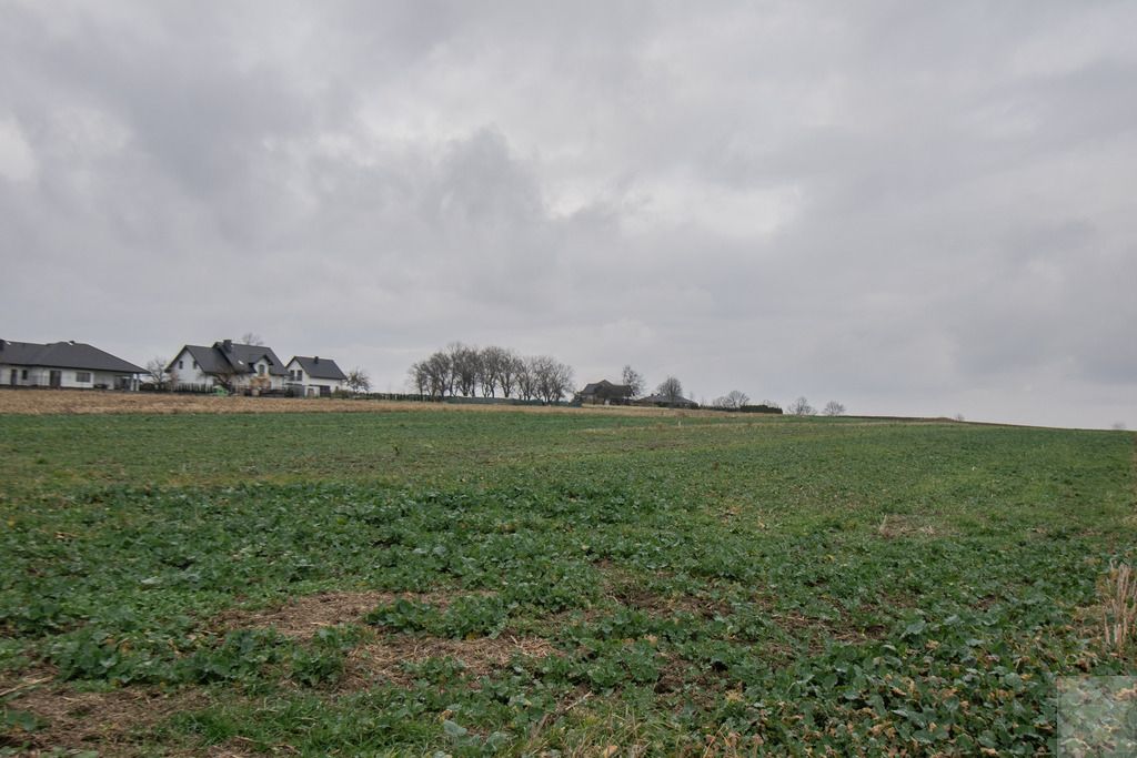 Działka budowlana Morawsko. Zdjęcie 8