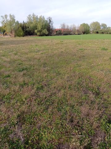 Działka budowlana Granice. Zdjęcie 1