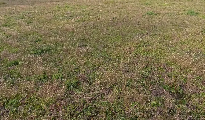 Działka budowlana Granice