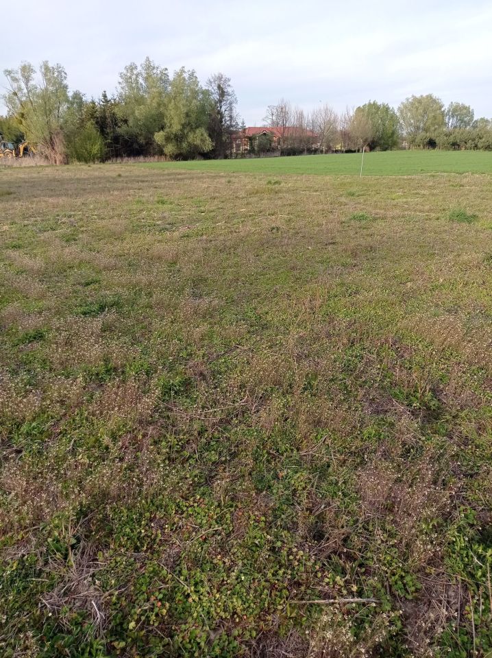 Działka budowlana Granice. Zdjęcie 1