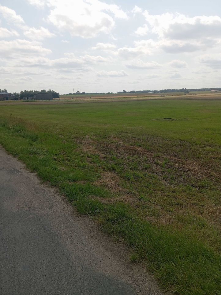 Działka rolno-budowlana Starzykowo. Zdjęcie 2
