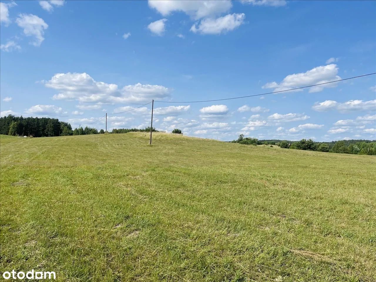 Działka budowlana Borowe. Zdjęcie 3