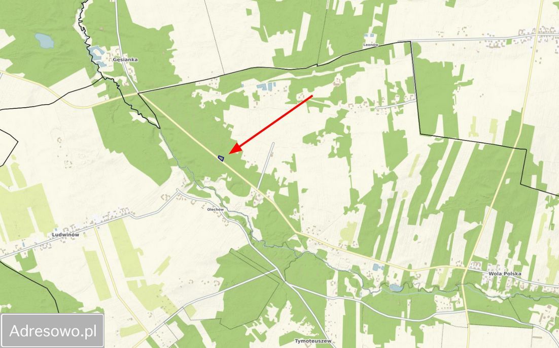 Działka leśna Wola Polska. Zdjęcie 5