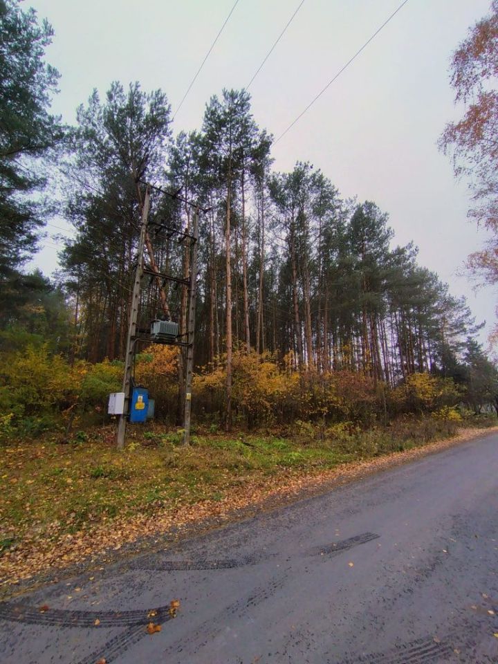 Działka leśna Dobków. Zdjęcie 2