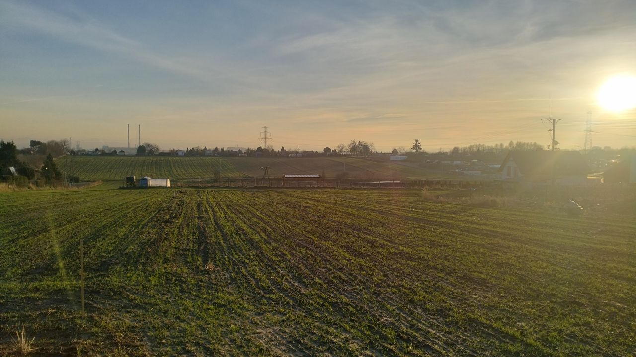 Działka budowlana Prusy, ul. Cyprysowa. Zdjęcie 4