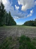 Działka Młodzieszyn Młodzieszyn-Łęg. Zdjęcie 1