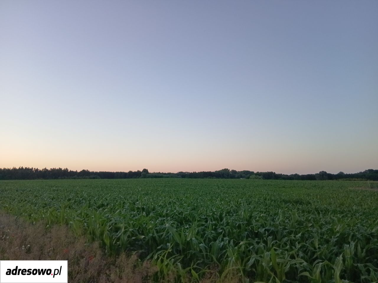Działka budowlana Nadrożno. Zdjęcie 6