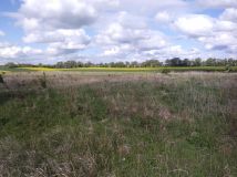 Działka rolno-budowlana Ustowo. Zdjęcie 2