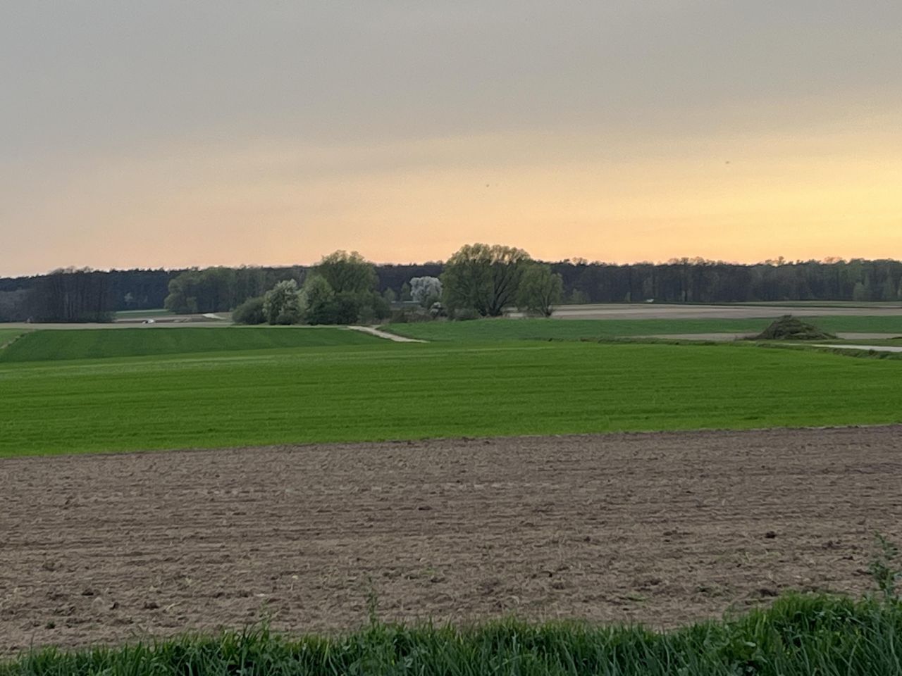 Działka budowlana Wilczogóra, ul. Dębowa. Zdjęcie 2