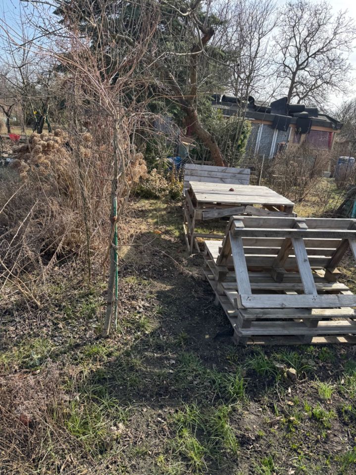 Działka rod Wrocław Gaj, ul. Morwowa. Zdjęcie 3