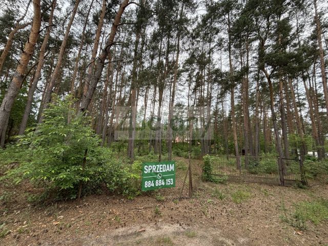 Działka budowlana Stare Załubice. Zdjęcie 3