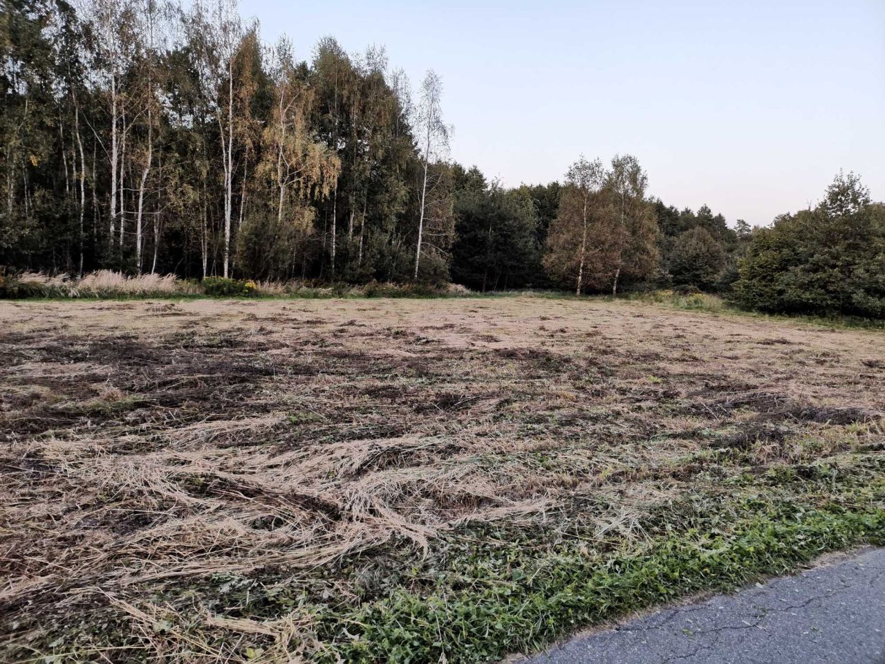 Działka budowlana Gilowice, ul. Wiejska