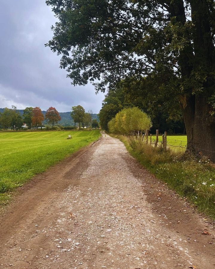 Działka budowlana Janowice Wielkie. Zdjęcie 20