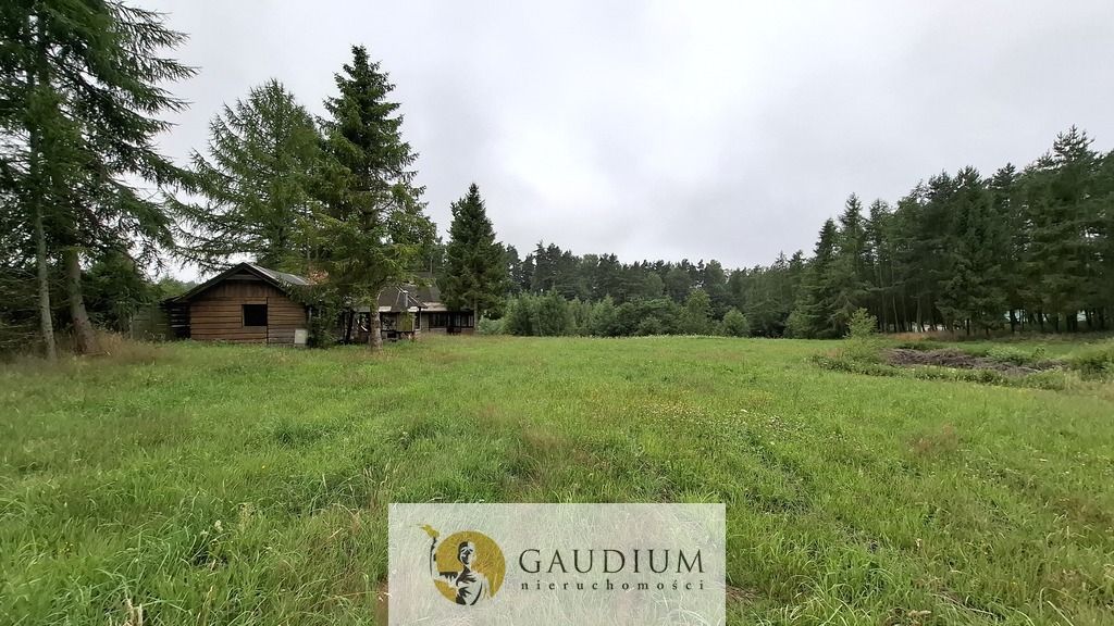 Działka budowlana Pomlewo. Zdjęcie 4
