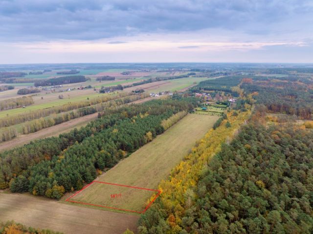 Działka budowlana Pieńki Henrykowskie. Zdjęcie 1