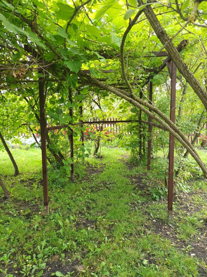 Działka rod Chełm. Zdjęcie 3