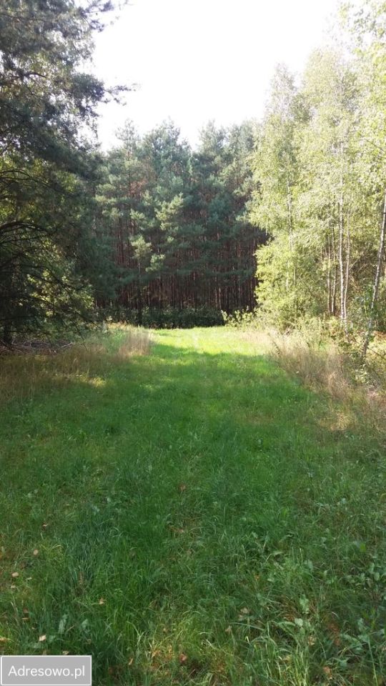 Działka rolno-budowlana Pałki. Zdjęcie 4