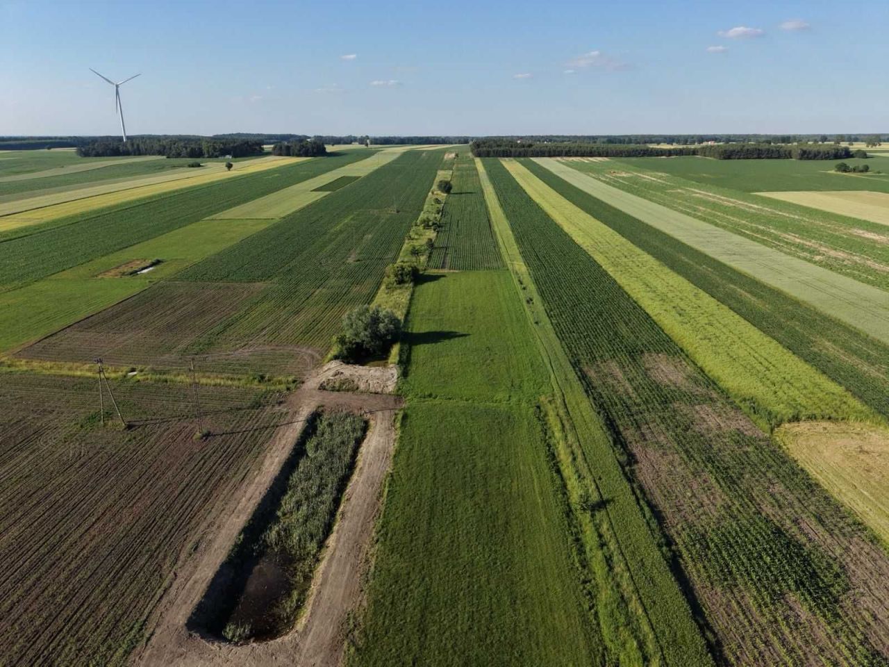 Działka budowlana Krzyżanowice. Zdjęcie 6