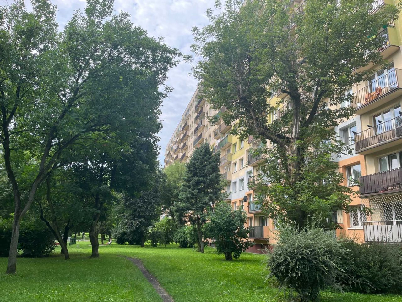 Zdjęcie 2
