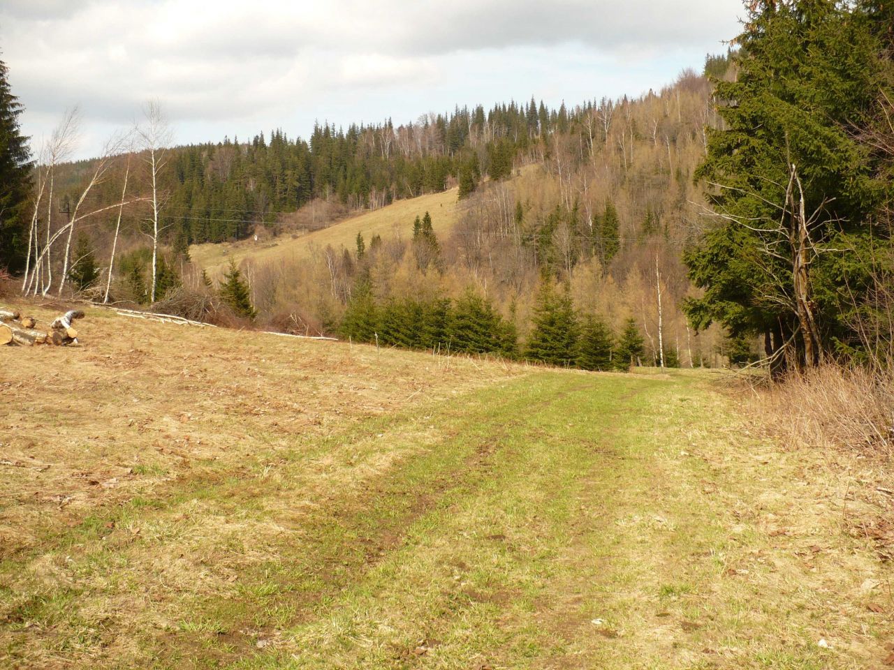 Działka budowlana Nowy Gierałtów. Zdjęcie 8