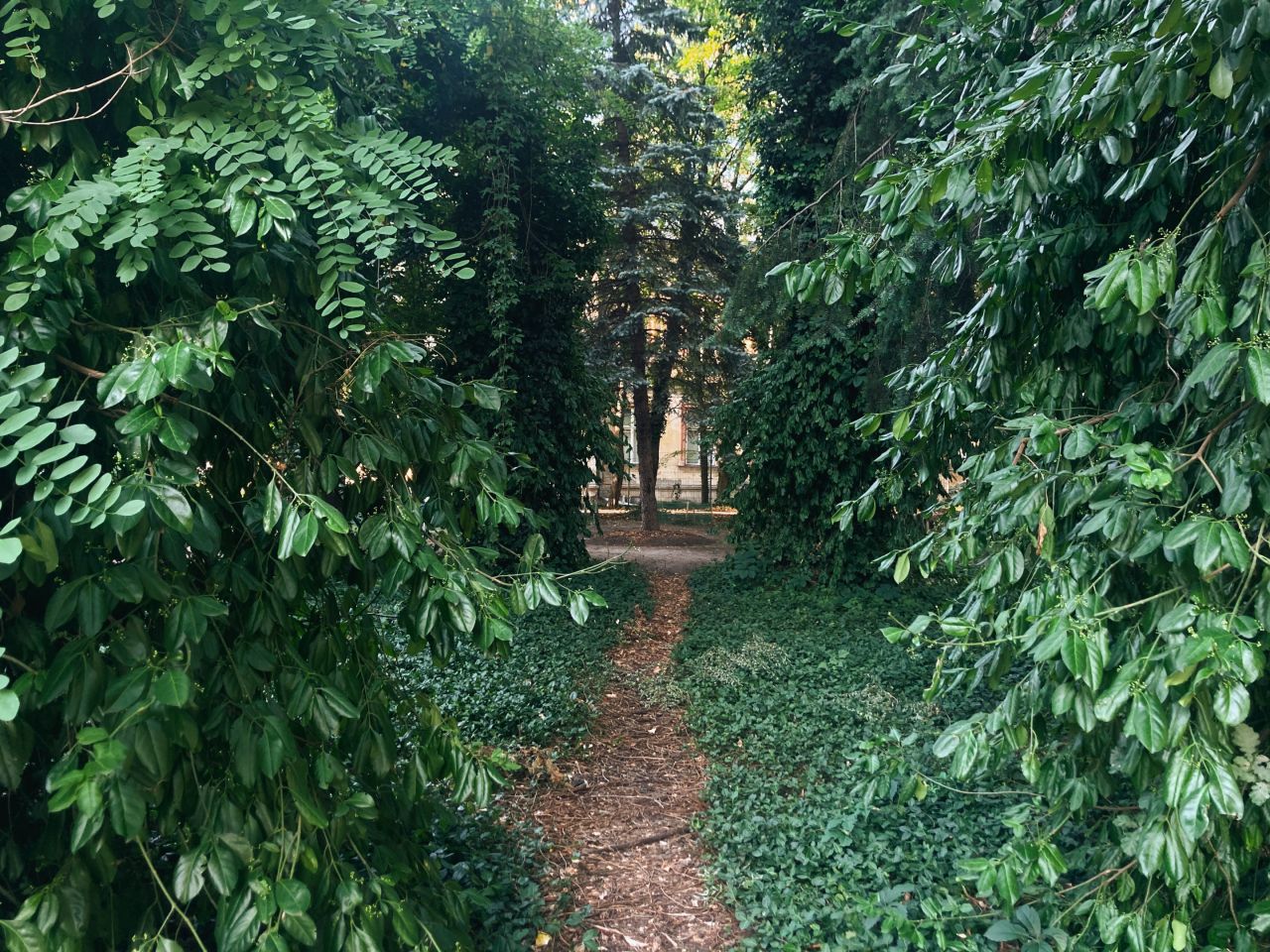 Mieszkanie 2-pokojowe Pruszków Centrum, ul. Komorowska. Zdjęcie 17