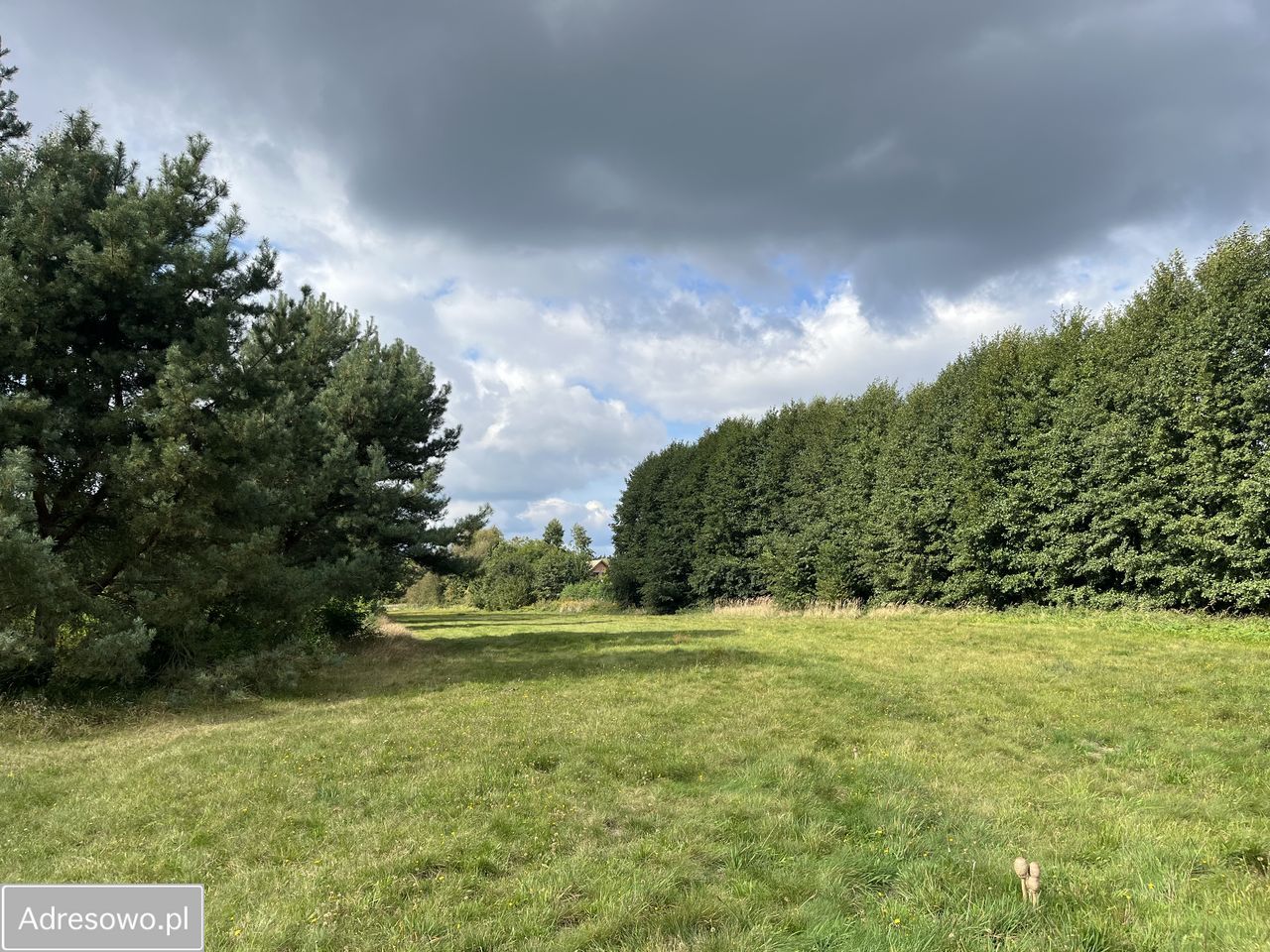 Działka budowlana Psary Wielkie. Zdjęcie 12