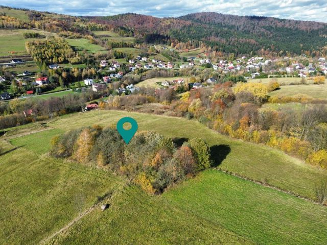 Działka rolna Rymanów-Zdrój Deszno. Zdjęcie 11