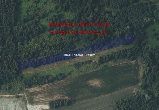 Działka rolna Bodzanów. Zdjęcie 8