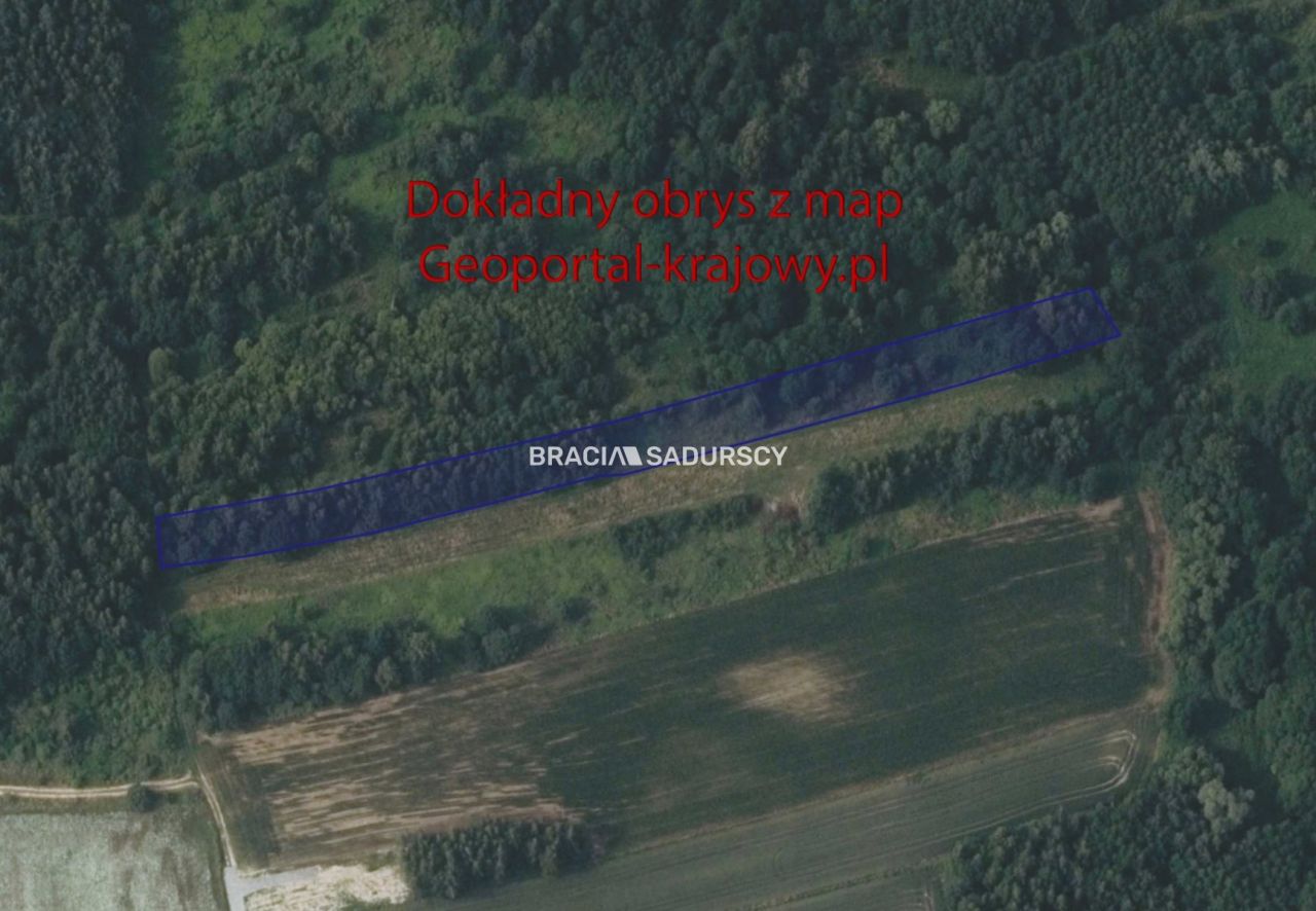 Działka rolna Bodzanów. Zdjęcie 8