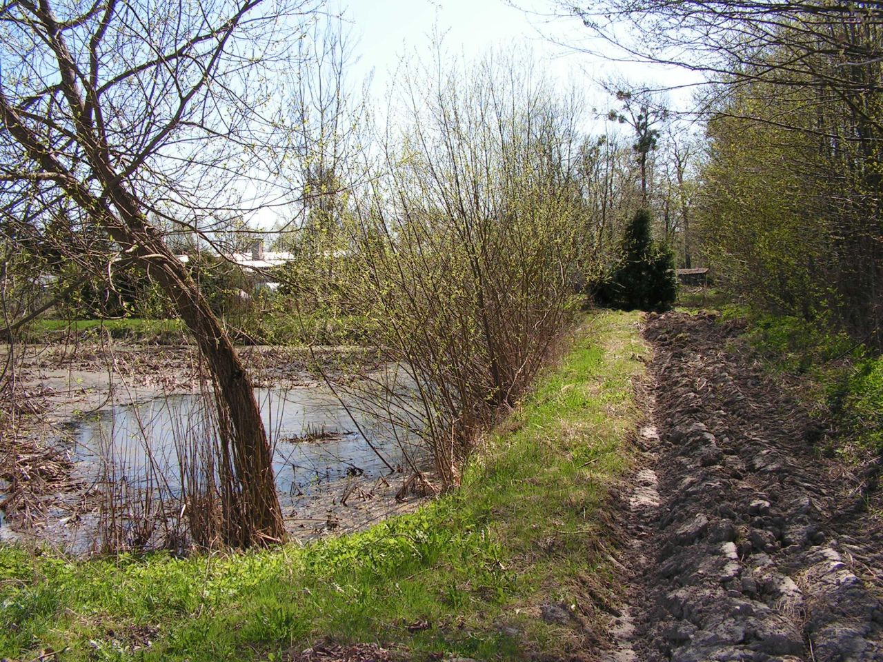 Działka inwestycyjna Bezledy. Zdjęcie 9