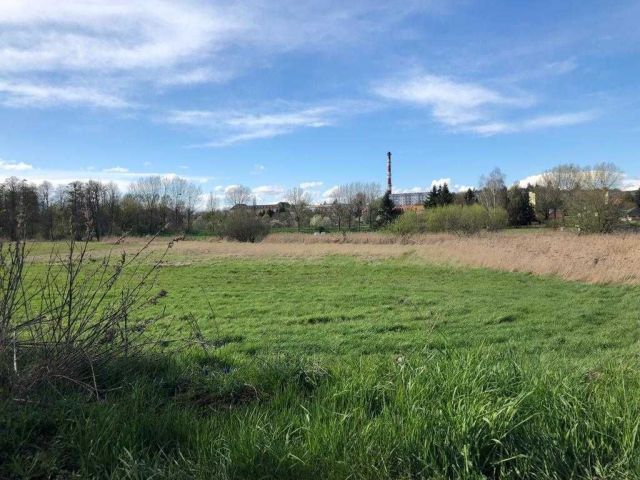 Działka budowlana Świebodzin, ul. Topolowa. Zdjęcie 1