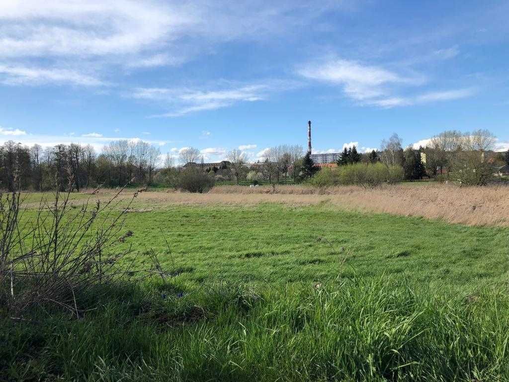 Działka budowlana Świebodzin, ul. Topolowa