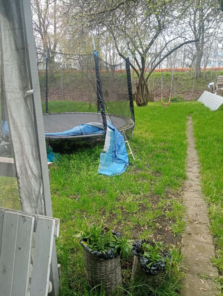 Działka rod Wrocław Psie Pole, ul. Bolesława Krzywoustego. Zdjęcie 9