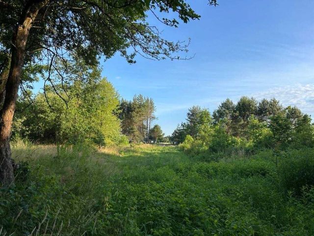 Działka budowlana Nowa Wola. Zdjęcie 1