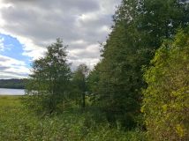 Działka rolna Krępsk. Zdjęcie 2