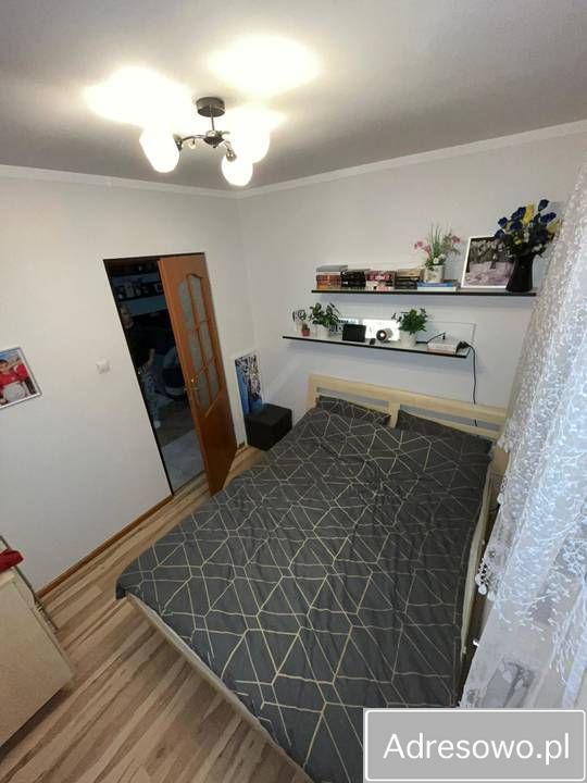 gospodarstwo, 4 pokoje Kołodno. Zdjęcie 4