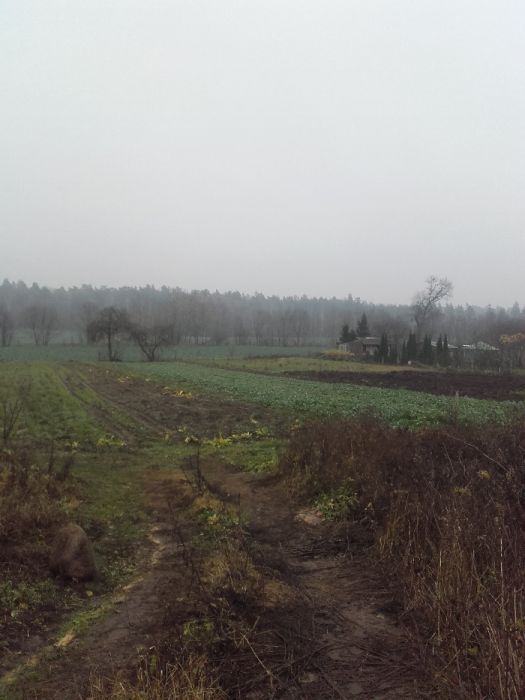 Działka siedliskowa Zawady-Tworki. Zdjęcie 5