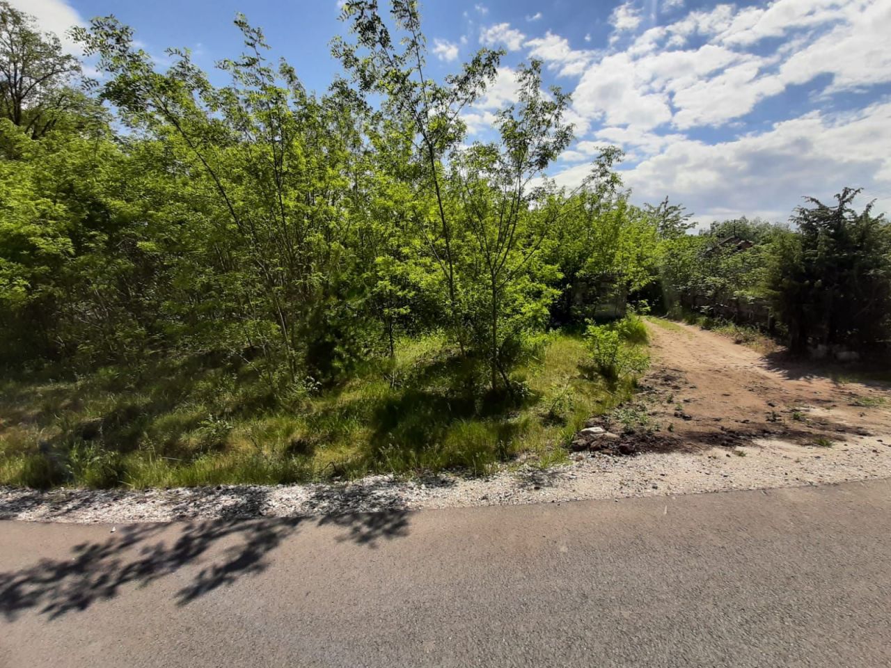 Działka rolno-budowlana Stare Budy. Zdjęcie 5