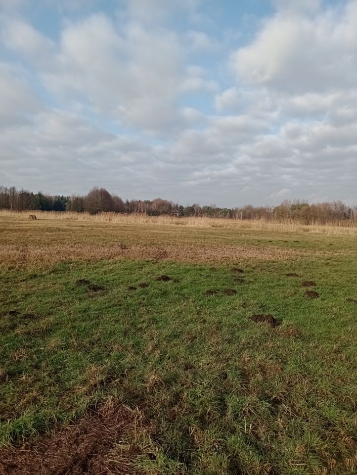 Działka rolna Głosków Głosków-Zielone, ul. Millenium. Zdjęcie 3