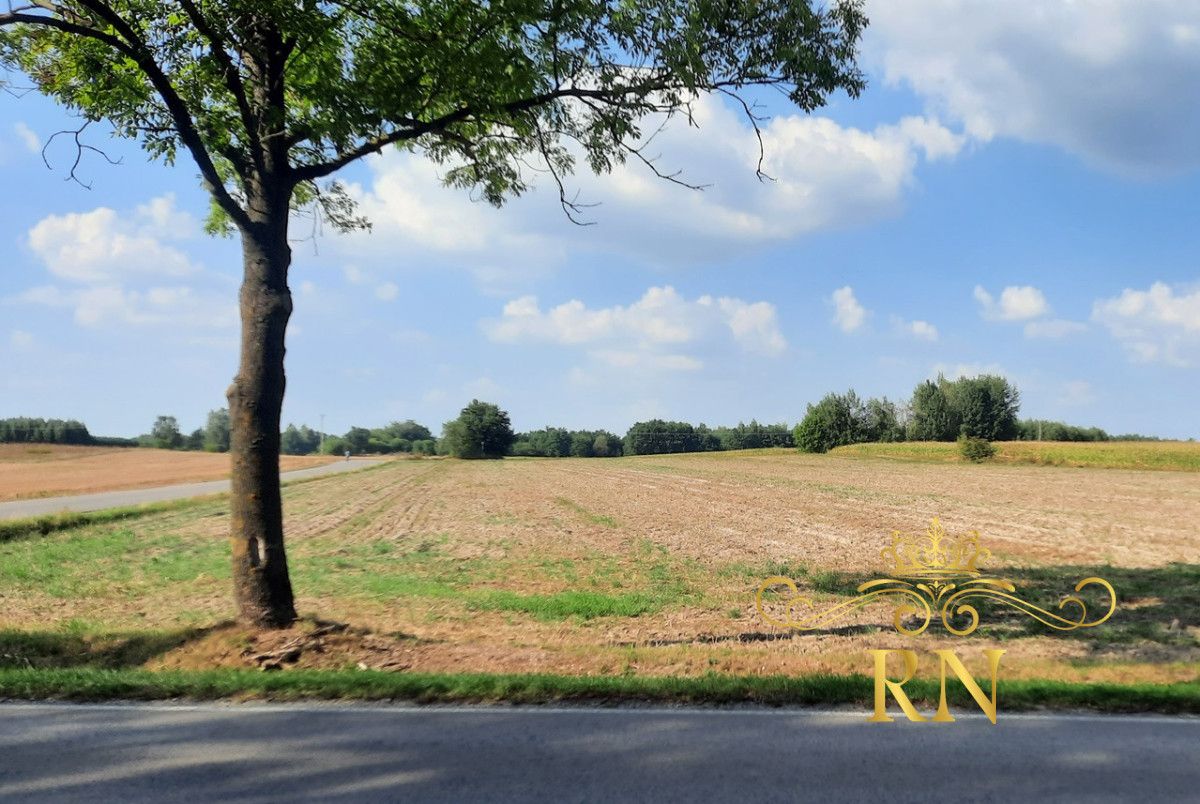 Działka rolna Rudno. Zdjęcie 7